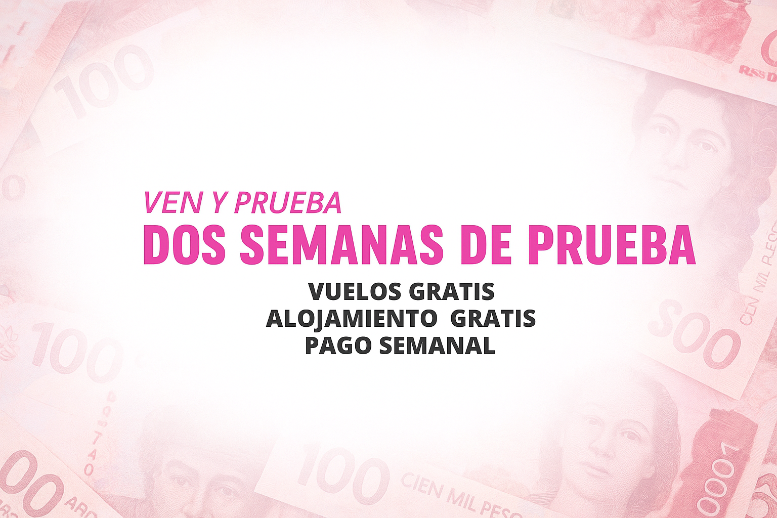 Celest Studios interior